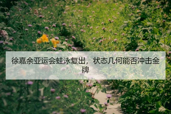 徐嘉余亚运会蛙泳复出，状态几何能否冲击金牌