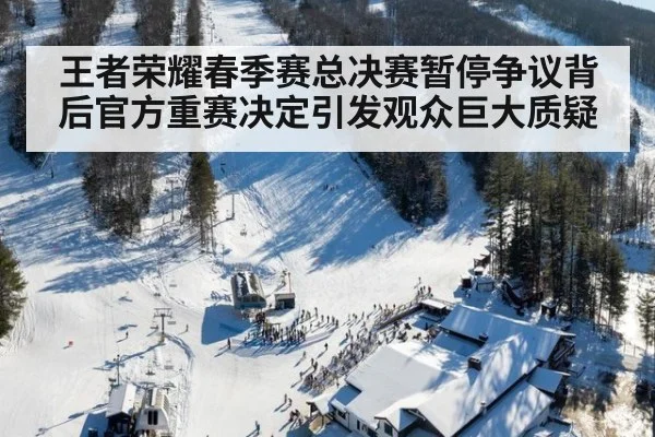 王者荣耀春季赛总决赛暂停争议背后官方重赛决定引发观众巨大质疑